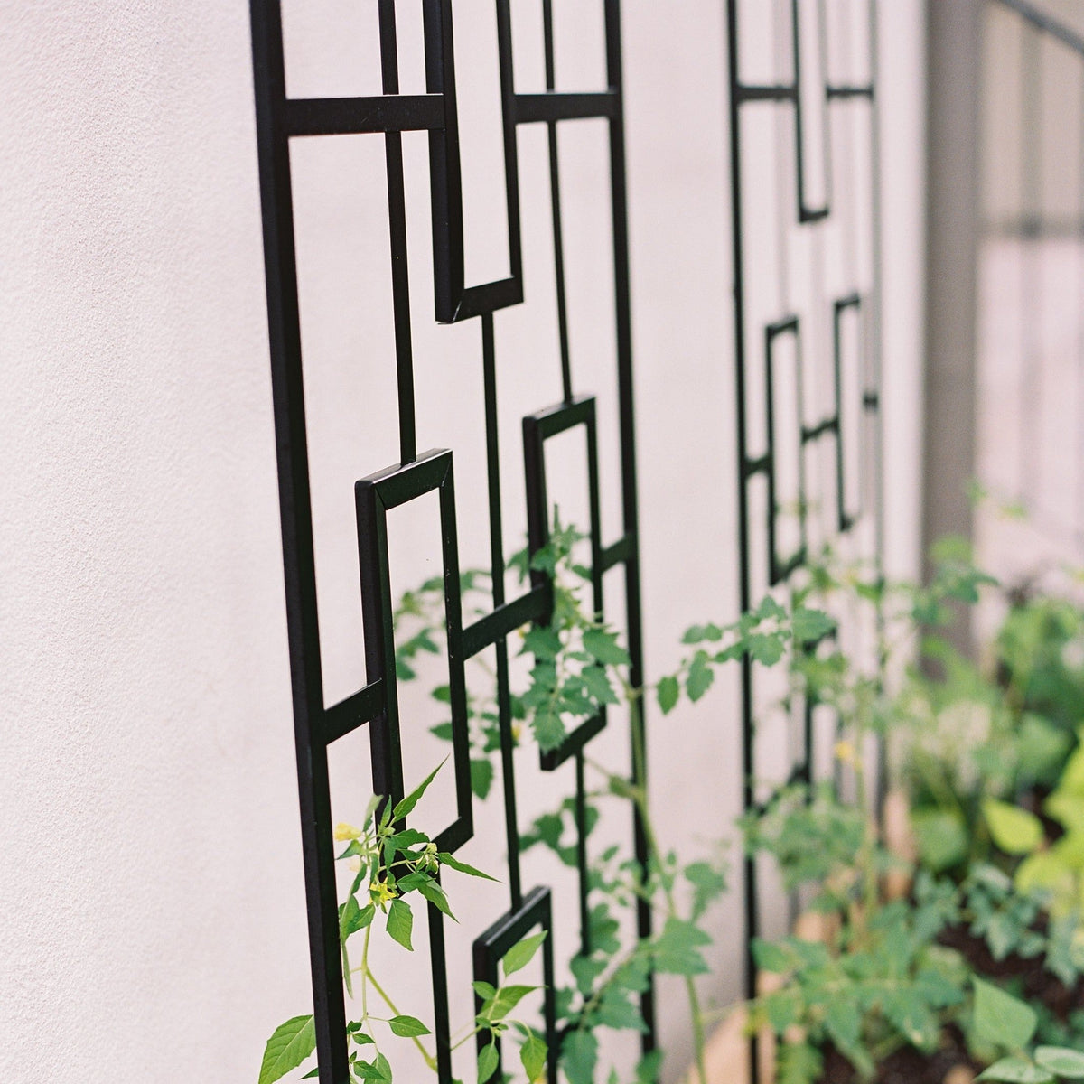 Modern Panel Trellis