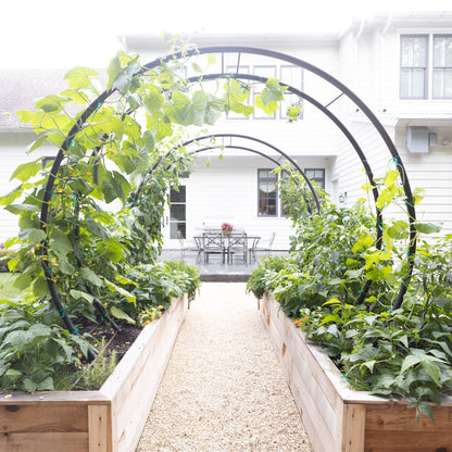 Modern Arch Trellis