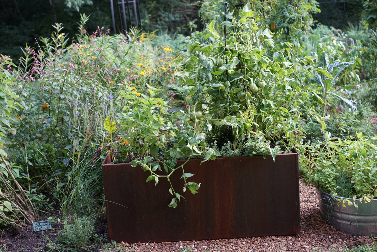 Corten Steel Raised Bed with Bottom