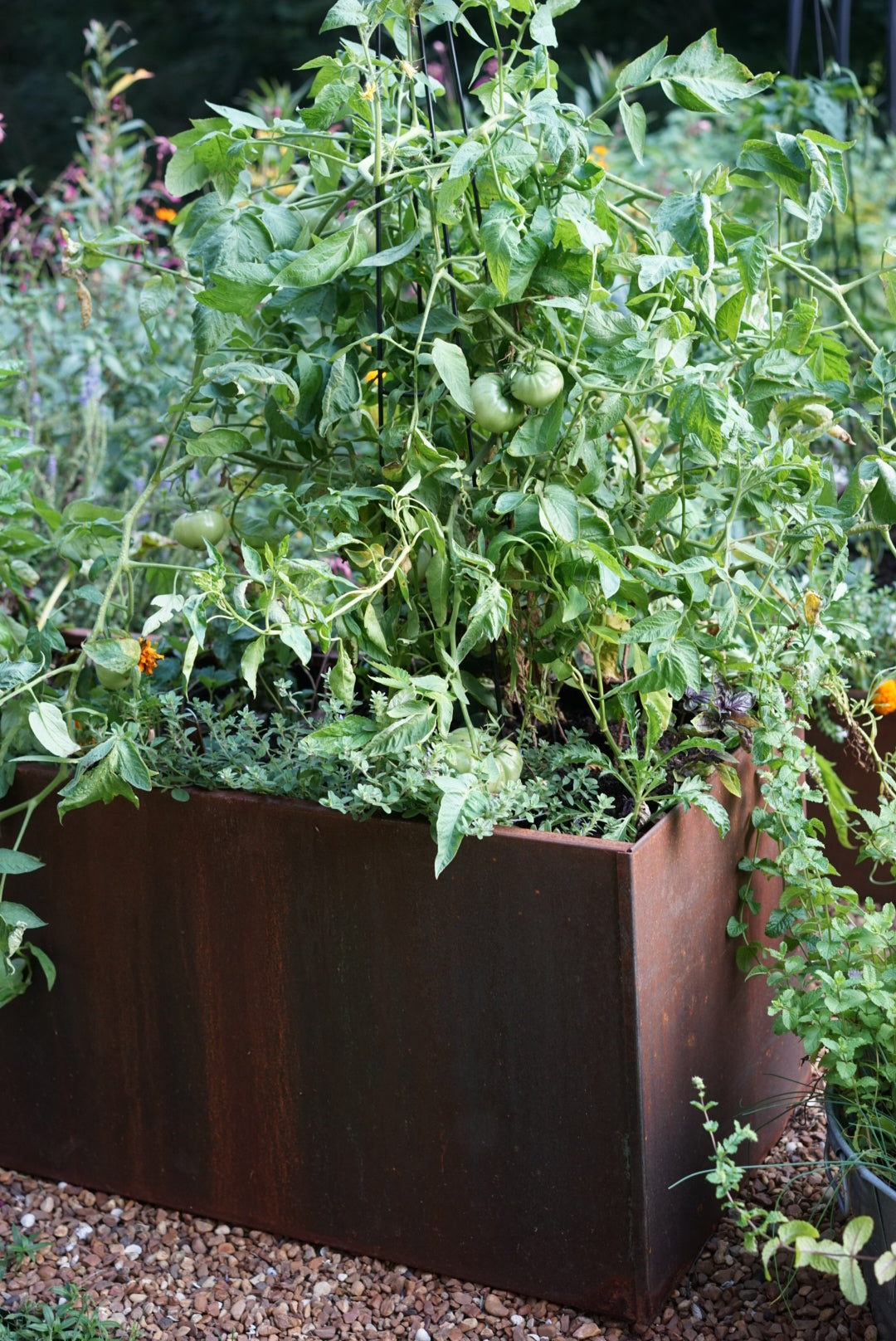 Corten Steel Raised Bed with Bottom