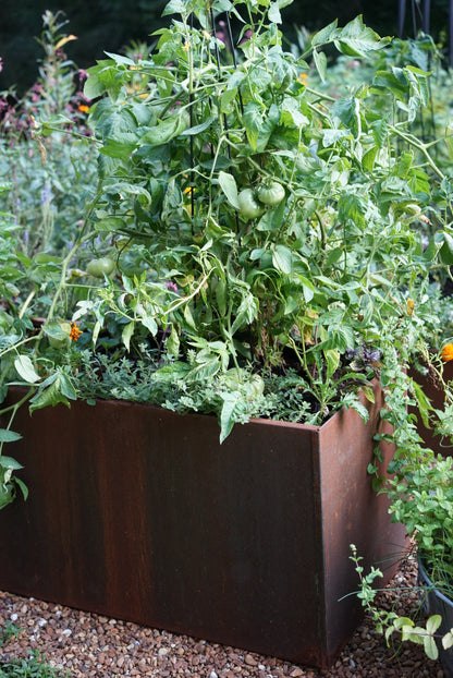 Corten Steel Raised Bed with Bottom