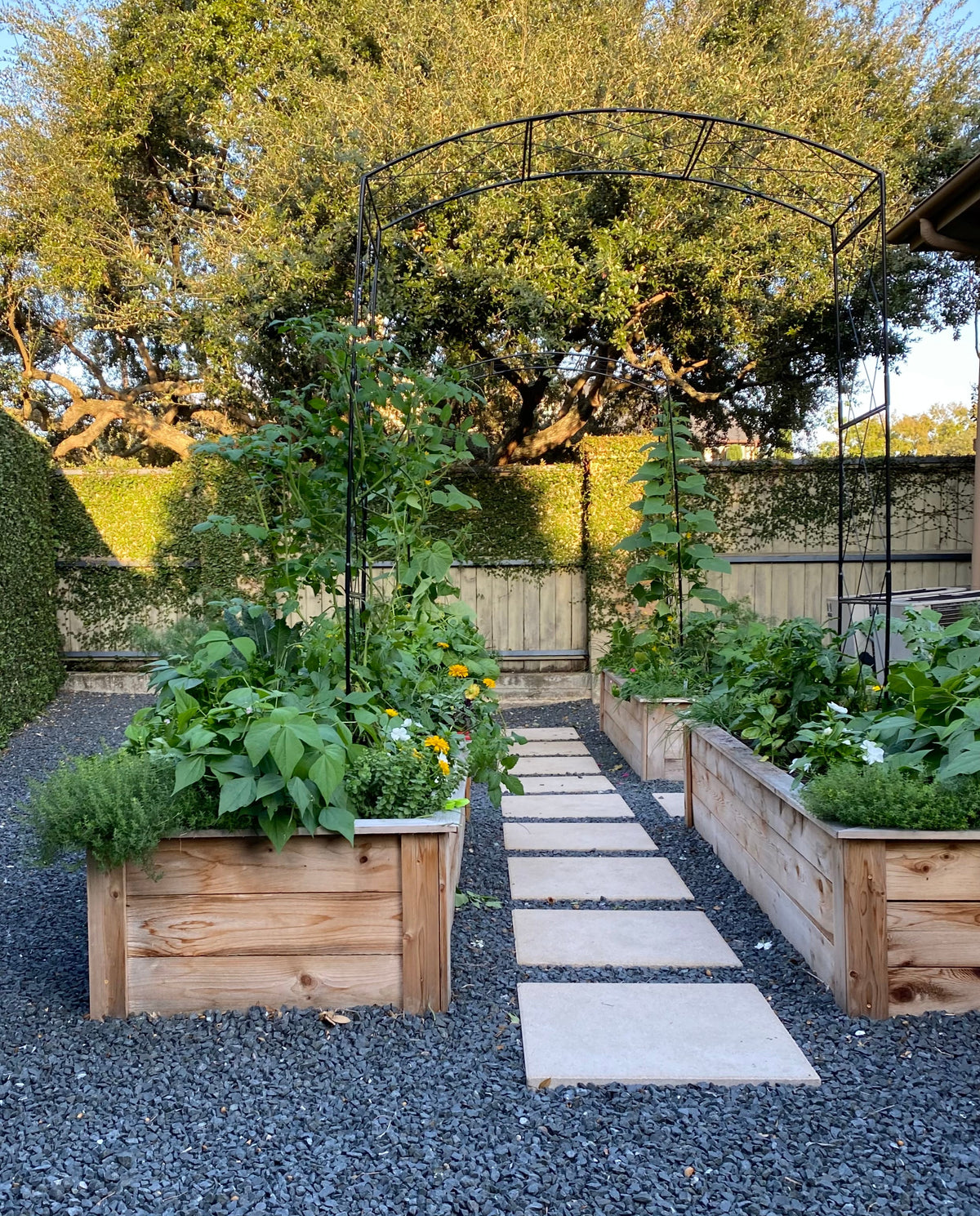Paris Arch Trellis