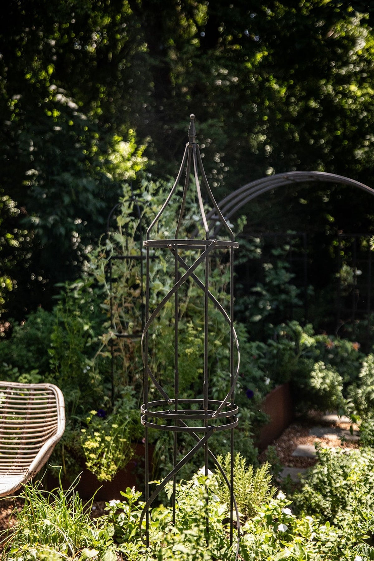 Border Tuteur Trellis