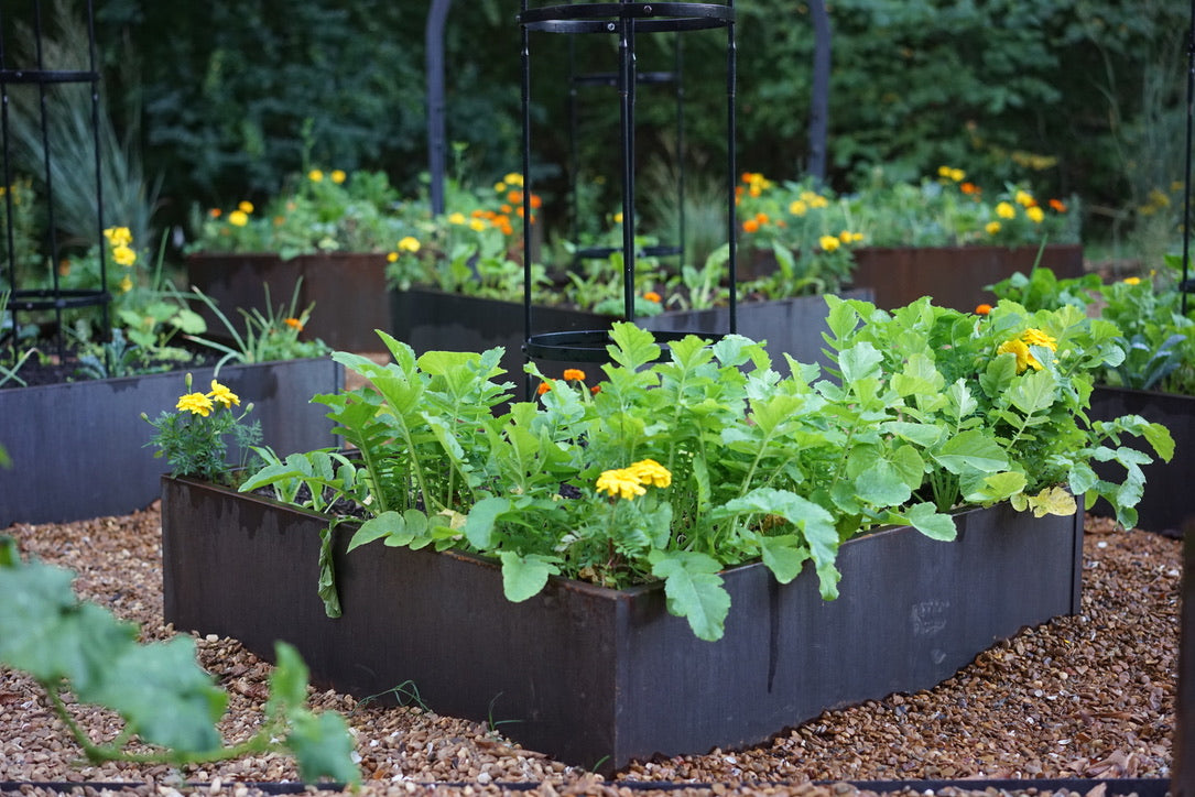 Corten Steel Raised Garden Bed