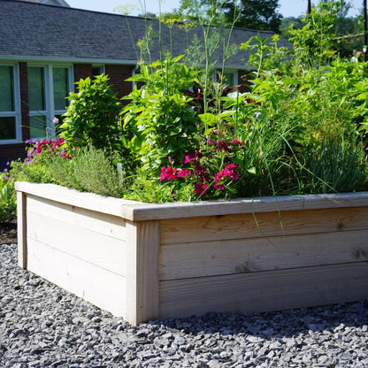 Gardenary Cedar Raised Garden Beds with Trim