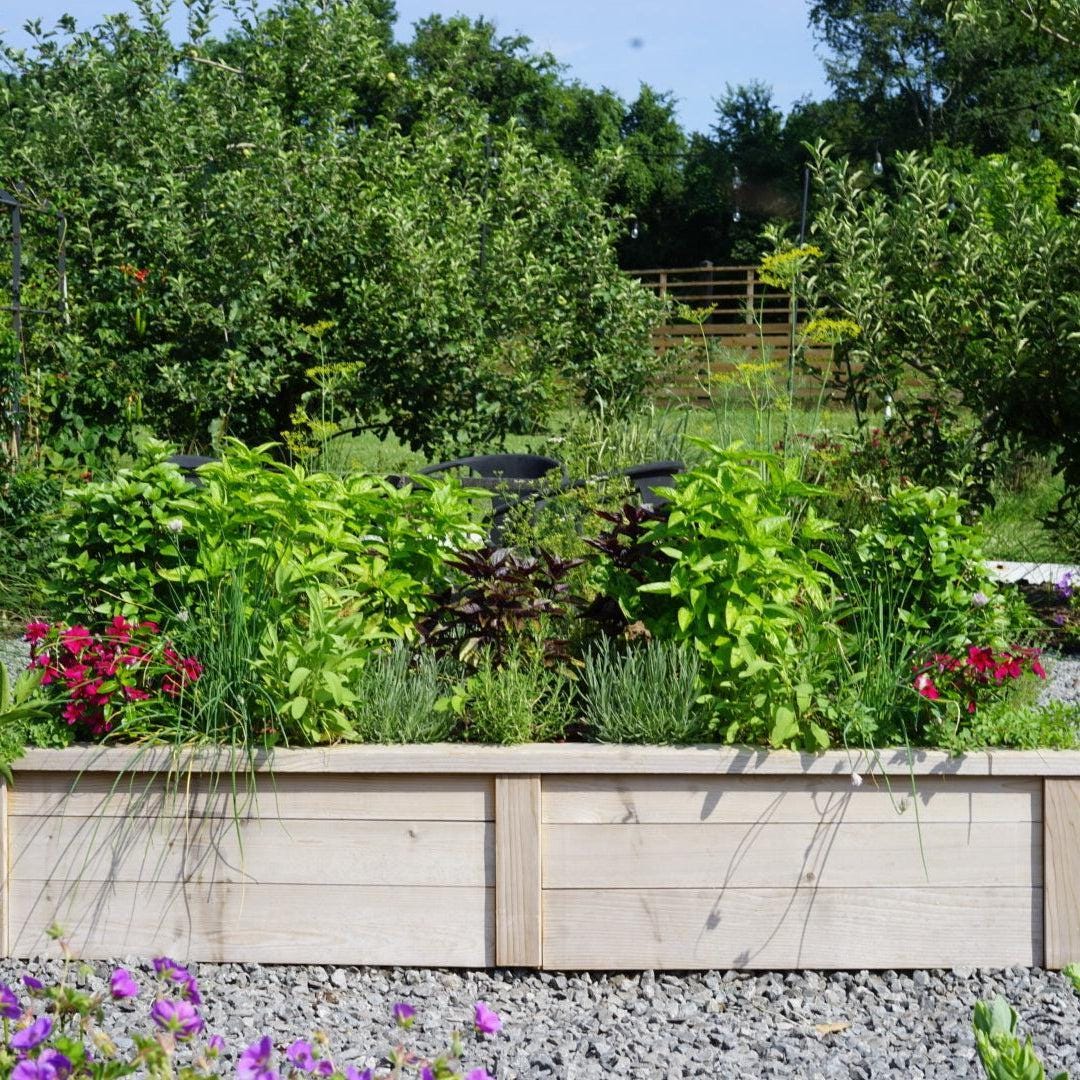 Gardenary Cedar Raised Garden Beds with Trim