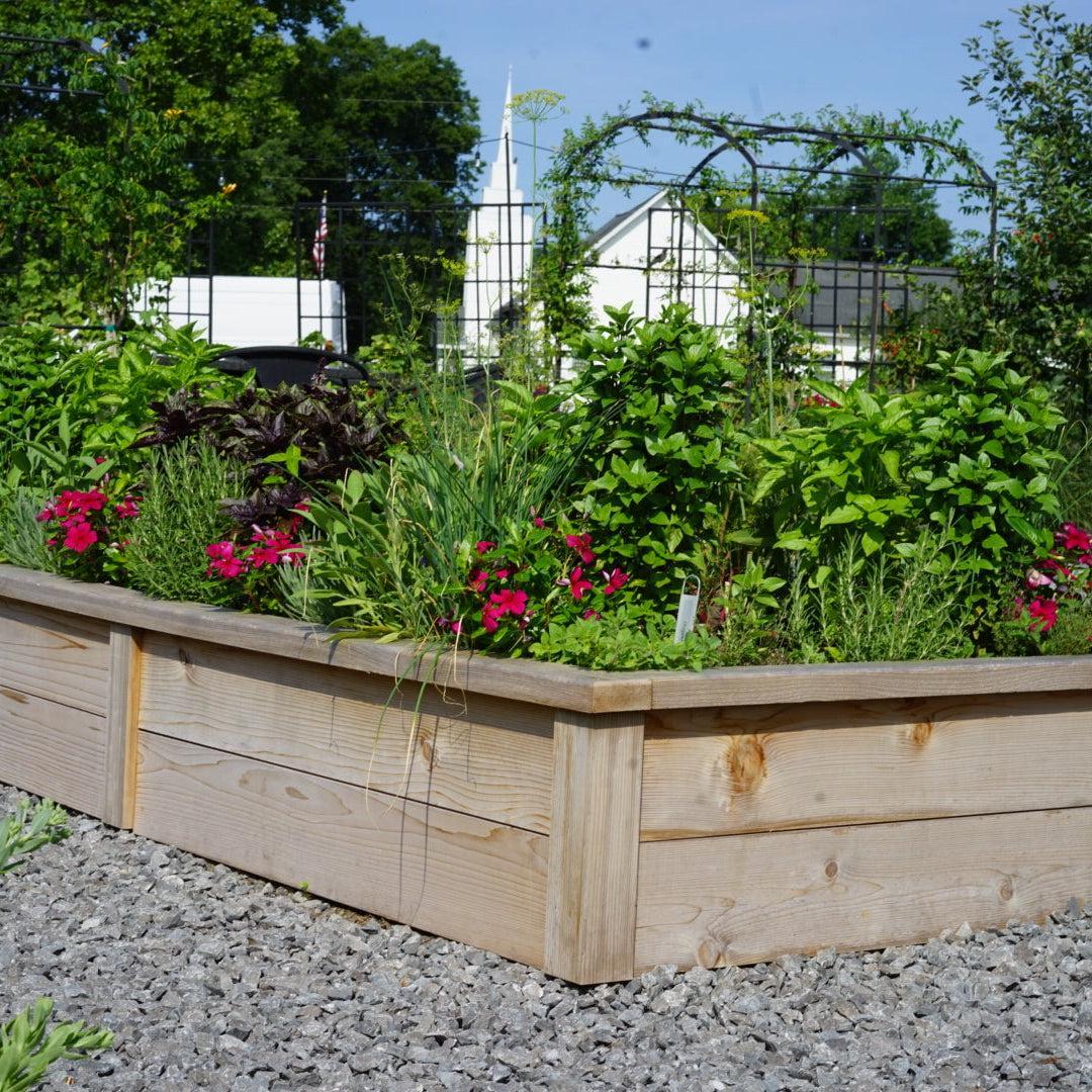 Gardenary Cedar Raised Garden Beds with Trim