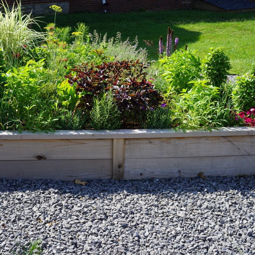 Gardenary Cedar Raised Garden Beds with Trim