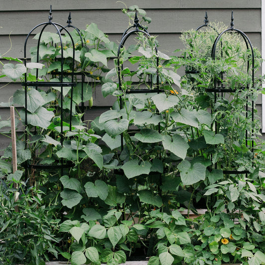 Wide Pillar Obelisk Trellis Kit